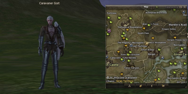 Caravaner Gort mw