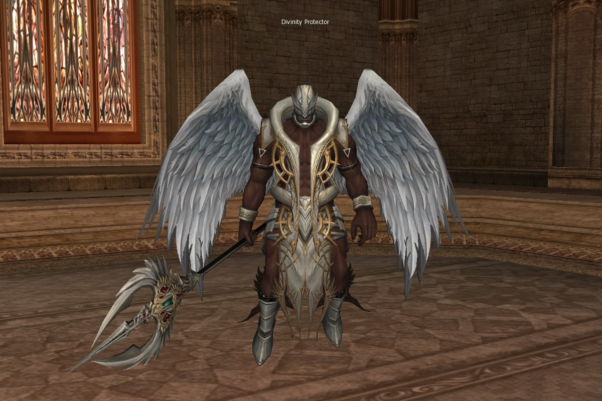 Divinity Protector eternal