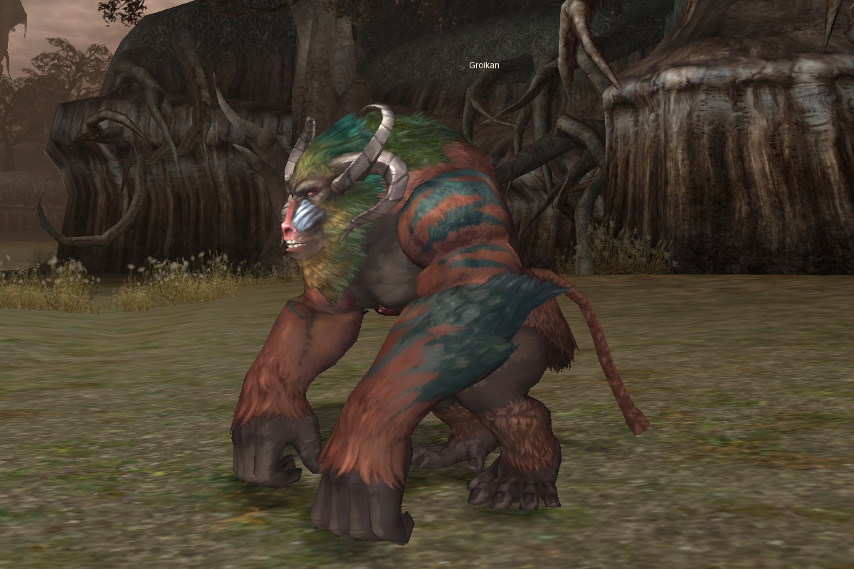 Groikan eternal